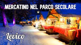 Mercatino di Natale Asburgico Levico Terme | Trentino Alto Adige