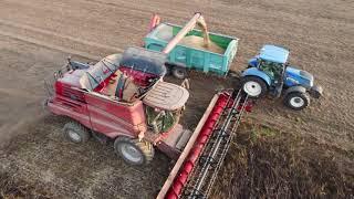 Harvest Time