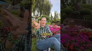 Чистка от врагов   #чистки #энергетическоеочищение #энергетическиепрактики #асмрвидео #асмр