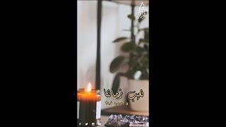 نعيب زماننا والعيب فينا || محمد الوالي