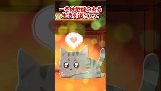 【2ch】2歳の猫がコタツの存在を…【アニマル】 #Shorts