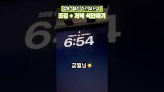 2차 출근하는 웹소설 작가 일상 | 미세 먼지ㅠ | 서브웨이 다이어트 식단 | 아샷추