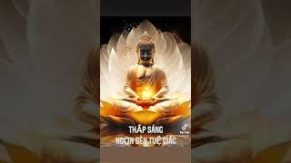 Thắp Sáng Ngọn Đèn Tuệ Giác
