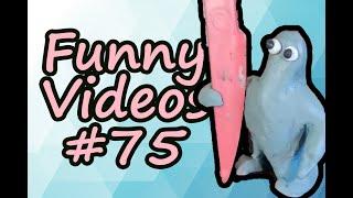 FUNNY VIDEO COMPILATION COUB #75 | SPICY MEME HOUSE