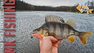 Wędkarstwo Spinningowe | FishUp TANTA | OKONIE I SZCZUPAKI | [ODC.02/2021]