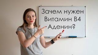 Зачем нужен витамин В4 - аденин