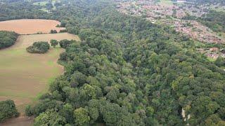 Castle Eden Dene National Nature Reserve (4K)