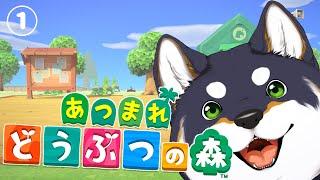 【あつ森】流行に乗り遅れて始める借金生活【にじさんじ/黒井しば】