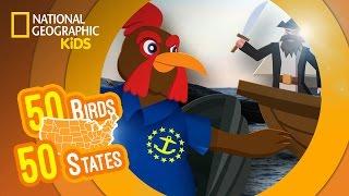 Rhode Island - Feat. Rapper MC Red the Rhode Island Red | 50 Birds, 50 States