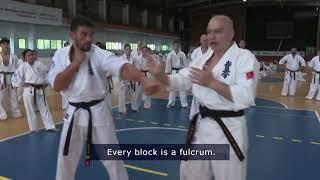 Shihan Ivo Kamenov techniques advices.