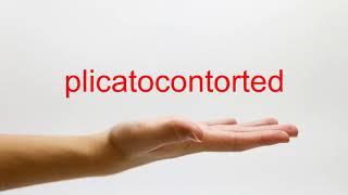 How to Pronounce plicatocontorted - American English