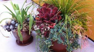 How to Use Pots in Landscape Design