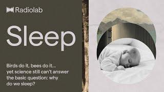 Sleep | Radiolab Podcast