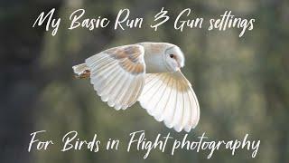 My Basic "Run & Gun", settings for Birds in Flight photography. Sony a7iv, 200-600mm lens & x1.4TC