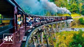 Magical Ride On The Old Puffing Billy Steam Train - A Truly Iconic Experience