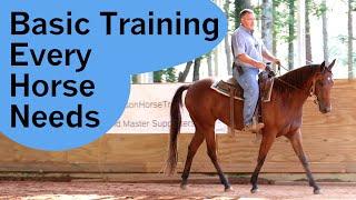 Every horse needs this foundation training