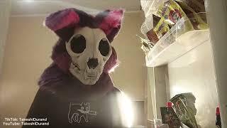 Moves like Jagger #furry #fursuiter #fursuit #fursuits #ferries #collab #furriesofyoutube #collabs