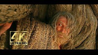 The Istar Meets Tom Bombadil and Gets Swallowed by a Tree | L.O.T.R Rings of Power S02 E04 #lotr