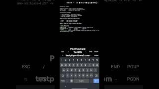 Using phone in ethical hacking on the bus #smartphone #termux #android #bugbounty