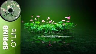 Eric Chiryoku - Lotus Flower || Spring Of Life