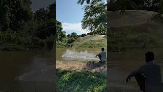 Fantastic a cast net fishing video technique catch fish#nature#net#skill