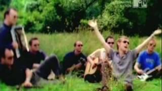 The Divine Comedy - The Pop Singer's Fear Of The Pollen Count