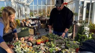 Aaron Ordered a Ton of Succulents! Unboxing All the Beauties!  // Garden Answer