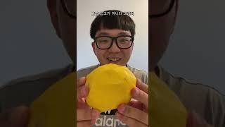 선물 받은 애플망고