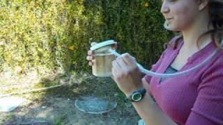 How to Make an Insect Collection: Using an Aspirator