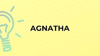 What is the meaning of the word AGNATHA?