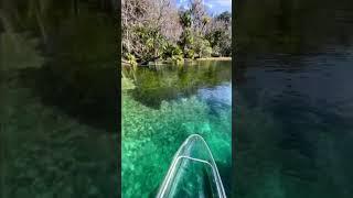 When everywhere you turn has a breathtaking view  #RainbowSprings #GetUpAndGoKayaking