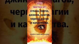 Дуа: чистка от сглаза, порчи, джинов, врагов, калдовства… #shorts #short #dua #дуа #дуо #shortvideo