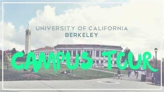 和我一起来加州大学伯克利 UC Berkeley Campus Tour| DazzleLime