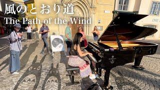 Yuki's Magical Street Piano Performance Of "path Of The Wind" From My Neighbor Totoro