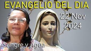 Evangelio Del Dia Hoy - Viernes 22 Noviembre 2024- Sangre y Agua