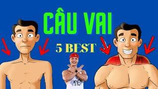 Tập cơ cầu vai (Traps) đúng cách/ 5 Best tập cơ cầu vai