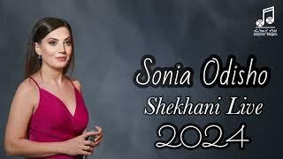 Sonia Odisho- Shekhani live 2024 سونيا اوديشو