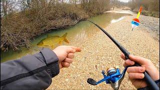 BIG FISH IN A SMALL STREAM! Sight fishing for wild carp with live worms in Winter - Fishing in Italy