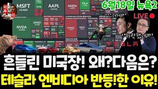 미국주식시황/오늘 흔들린 3가지 이유! 테슬라 엔비디아는 반등!왜? 구글 애플 아마존 메타 마이크로소프트 팔란티어 아이온큐 ARQQ QBTS CRWD LLY $tsla #tesla