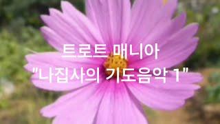 나집사네 이야기방: 나집사의 기도음악& 나집사 커버곡& 눈물이 진주라면& 트로트 매니아 기도 음악& 영상선물& 가수 후니정님 감사합니다!