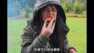 男人驾驶乌尼莫克在山谷停靠，遭遇雨雾天气，靠房车安营扎寨！