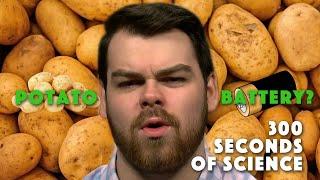 How Does a Potato Make Electricity? | 30 Seconds of Science