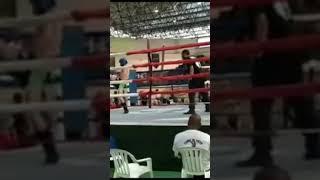 Copa brasil de kickboxing