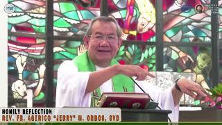 𝗬𝗢𝗨 𝗛𝗔𝗩𝗘 𝗧𝗛𝗘 𝗖𝗛𝗔𝗡𝗖𝗘 𝗧𝗢 𝗗𝗢 𝗚𝗢𝗢𝗗 | Homily 20 Oct 2024 with Fr. Jerry Orbos, SVD | 29th Sunday