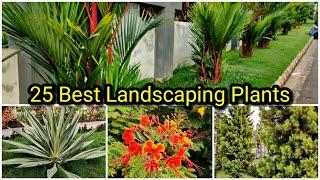 25 Low Maintenance Landscaping Plants | എളുപ്പത്തിൽ പരിപാലിക്കാൻ പറ്റിയ ഗാർഡൻ ചെടികൾ | Part 1