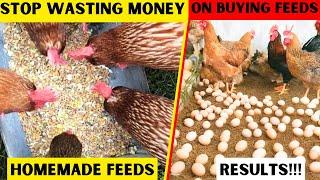 STOP WASTING MONEY ON CHICKEN FEEDS | SAVE MONEY BY FORMULATING AND MIXING YOUR OWN FEED AT HOME