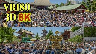 [ 8K 3D VR180 ] 2024 三社祭 (2/4)  町内神輿連合渡御 Many town portable shrines union parade in Asakusa