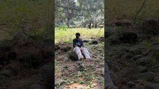 Nature  #music #newmusic #song #automobile #bolleywoodsong #musicgenre #eidroutine #vlog #funny #m