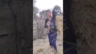 Adivasi girl ️ || village life , jashpur || Sailesh Jsp Vlogs #shorts #youtubeshorts #shortsfeed