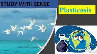 Harmful Disease from plastic - PLASTICOSIS